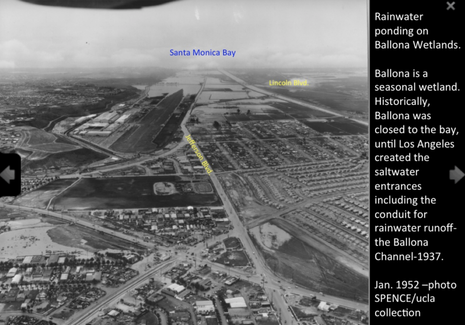 Ballona.Wetlands.1957.photo_.of_.rain_.water_.soaked.fields.png