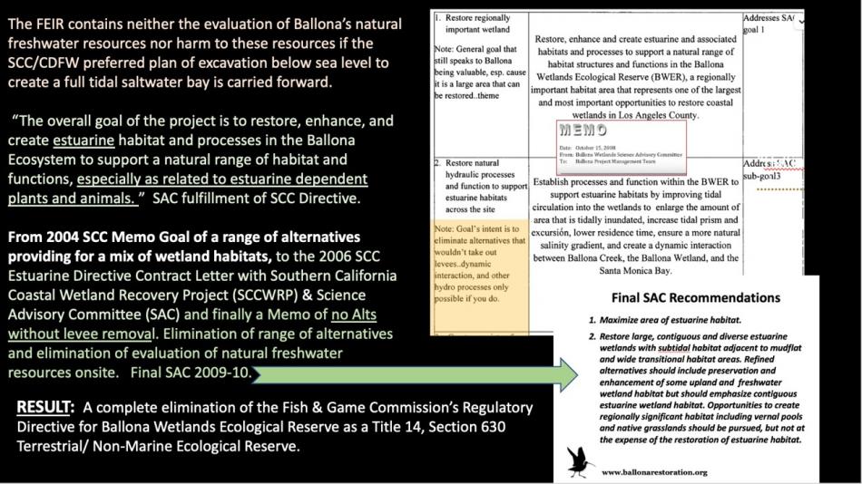 Ballona.Wetlands.202401.Historical.Dewatering.to_.Re-Watering.slide_.10.b_size_950.jpg