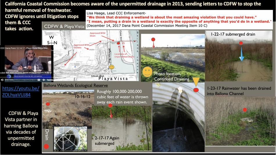 Ballona.Wetlands.202401.Historical.Dewatering.to_.Re-Watering.slide_.12_size_950.jpg