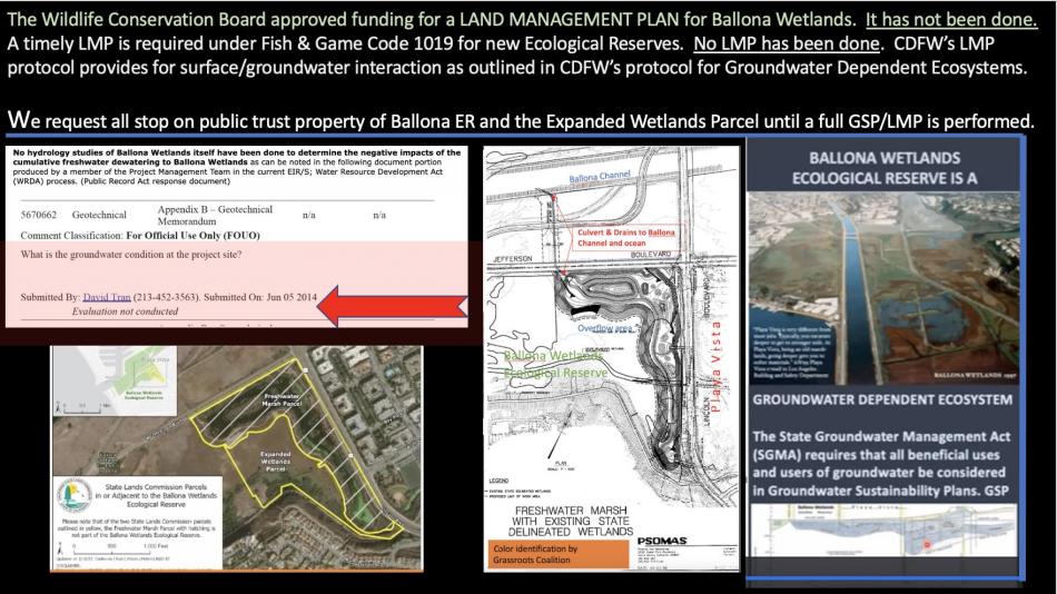 Ballona.Wetlands.202401.Historical.Dewatering.to_.Re-Watering.slide_.16_size_950.jpg